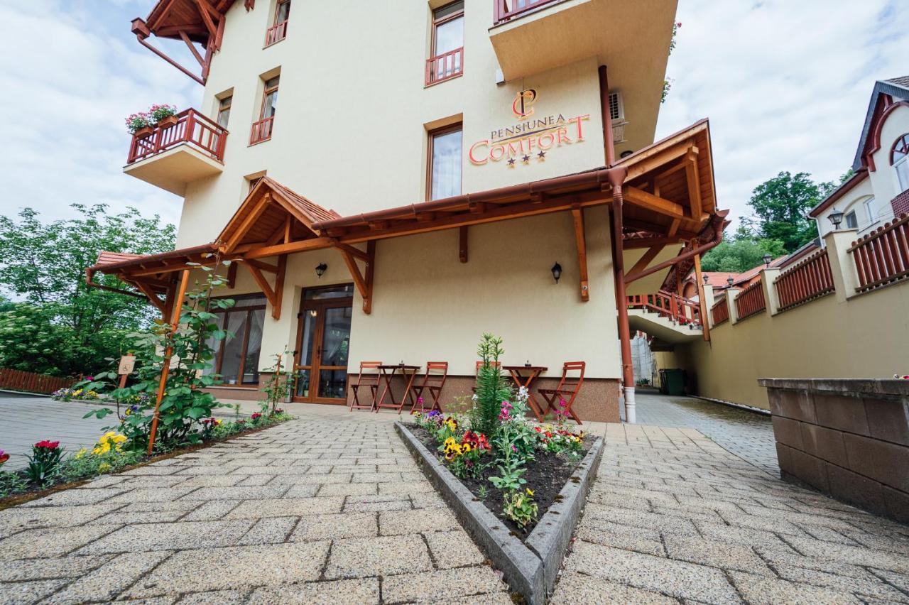 Pensiunea Comfort Sovata Ngoại thất bức ảnh